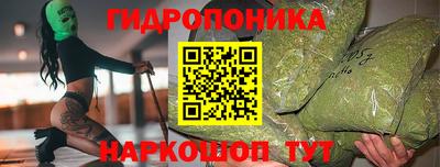 прущие крисы Гай