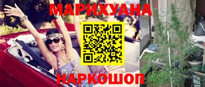 прущие крисы Гай