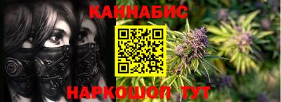 прущие крисы Гай