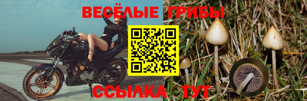 Галлюциногенные грибы ЛСД Мирный