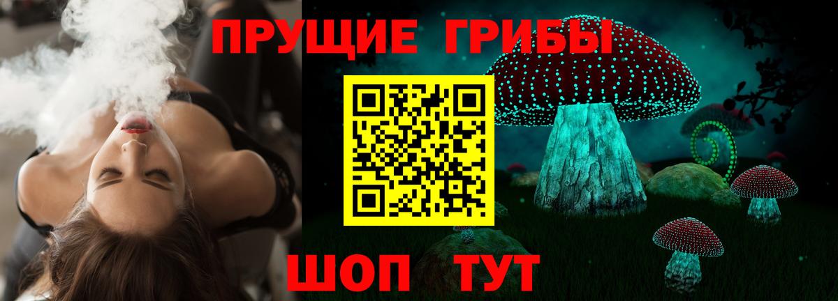 Псилоцибиновые грибы Cubensis  Вход с VPN  Псилоцибиновые грибы прущие грибы  Мирный 